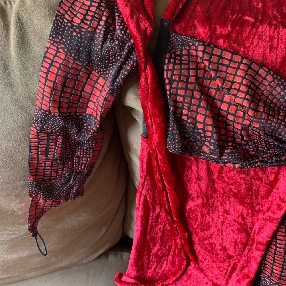 Seductive Devil Costume - image 6